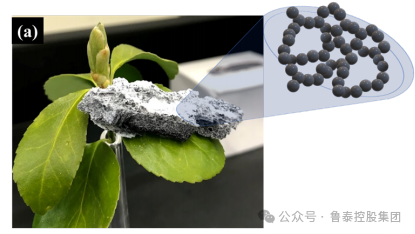 1710727762946613.png 微信图片_20240318100622.png